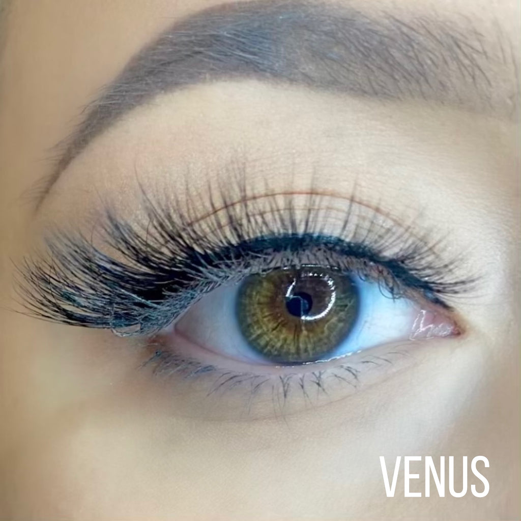 Venus lashes